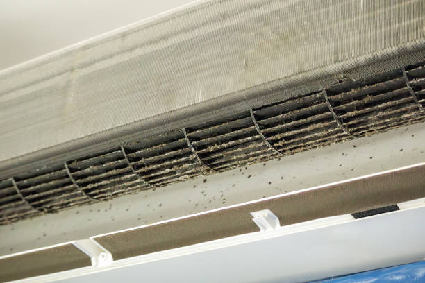 Best HVAC Duct Inspection Services  in Monroe, IA
